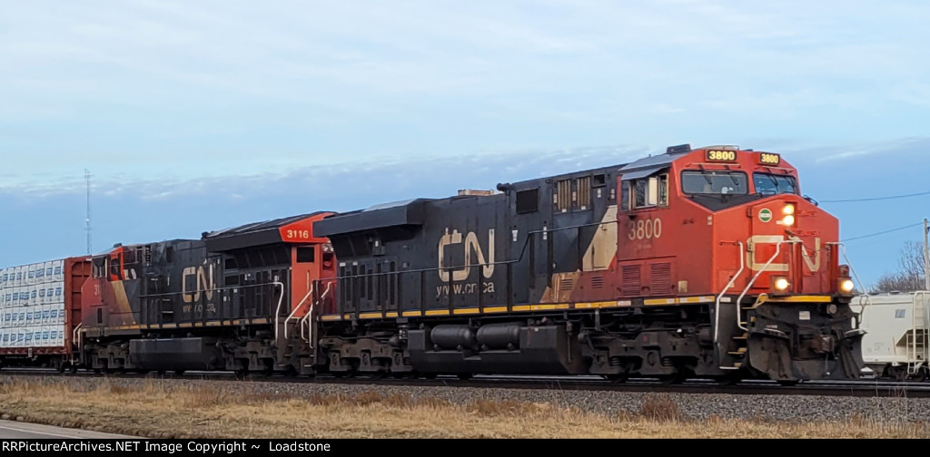CN 3800 CN 3116
